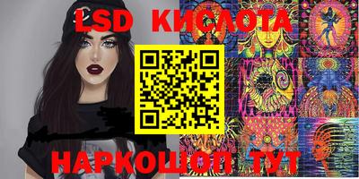 сатива Гатчина