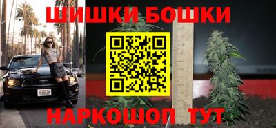 сатива Гатчина