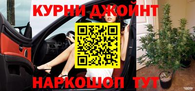 эйфоретик Гай