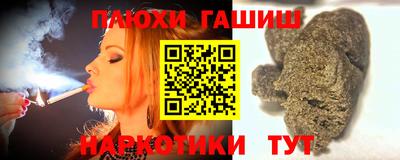 сатива Гатчина