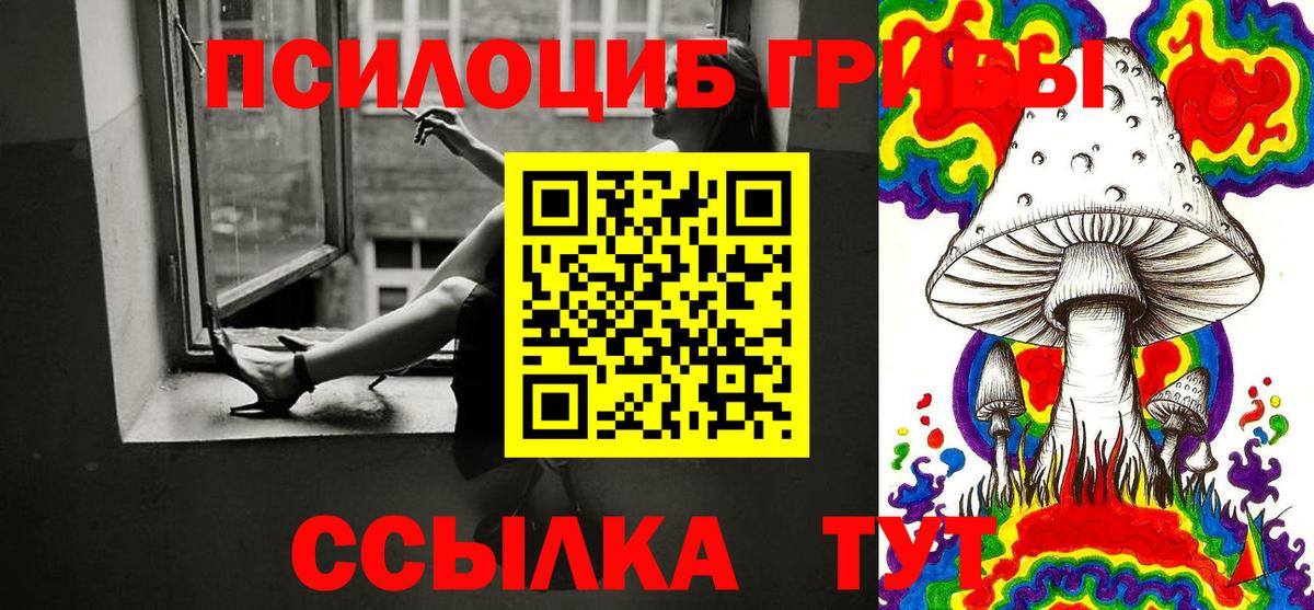 Псилоцибиновые грибы Magic Shrooms Нижний Новгород
